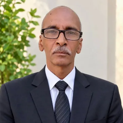 كبير المهندسين المدنيين